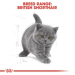 Royal Canin British kitten Dry Cat Food 2kg - Image 3