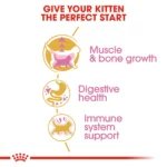 Royal Canin British kitten Dry Cat Food 2kg - Image 7