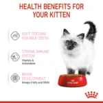 Royal Canin wet food Kitten up to 12 month 85 g - Image 3