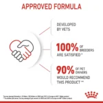 Royal Canin wet food Kitten up to 12 month 85 g - Image 4