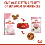 Royal Canin wet food Kitten up to 12 month 85 g - Image 7