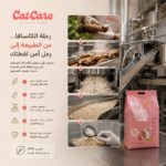 ⁦رمل قطط كاسافا 5 لتر⁩ - الصورة ⁦3⁩