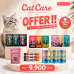Cat Care Value Bundle