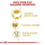 Royal Canin Ragdoll Adult Dry Cat Food 2kg - Image 2