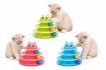 Circular Turntable Cat Toy - Image 2