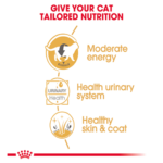 Royal Canin wet food British 85 g - Image 2
