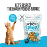 Schesir Snax! Crunchy & Creamy Cat Snack Tuna 60 g - Image 2