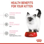Royal Canin kitten dry cat food 2 kg - Image 2